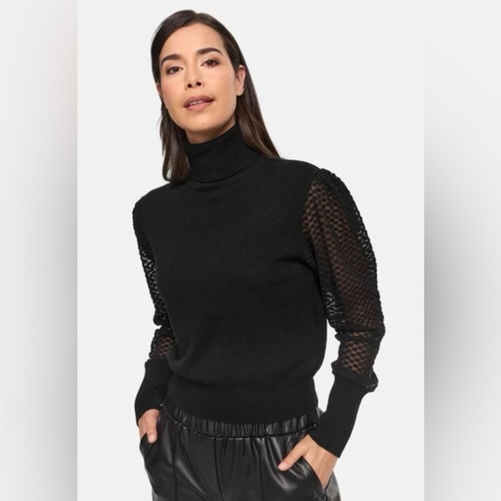 Zara Turtleneck Sweater with Dotted Mesh Sleeves in Black